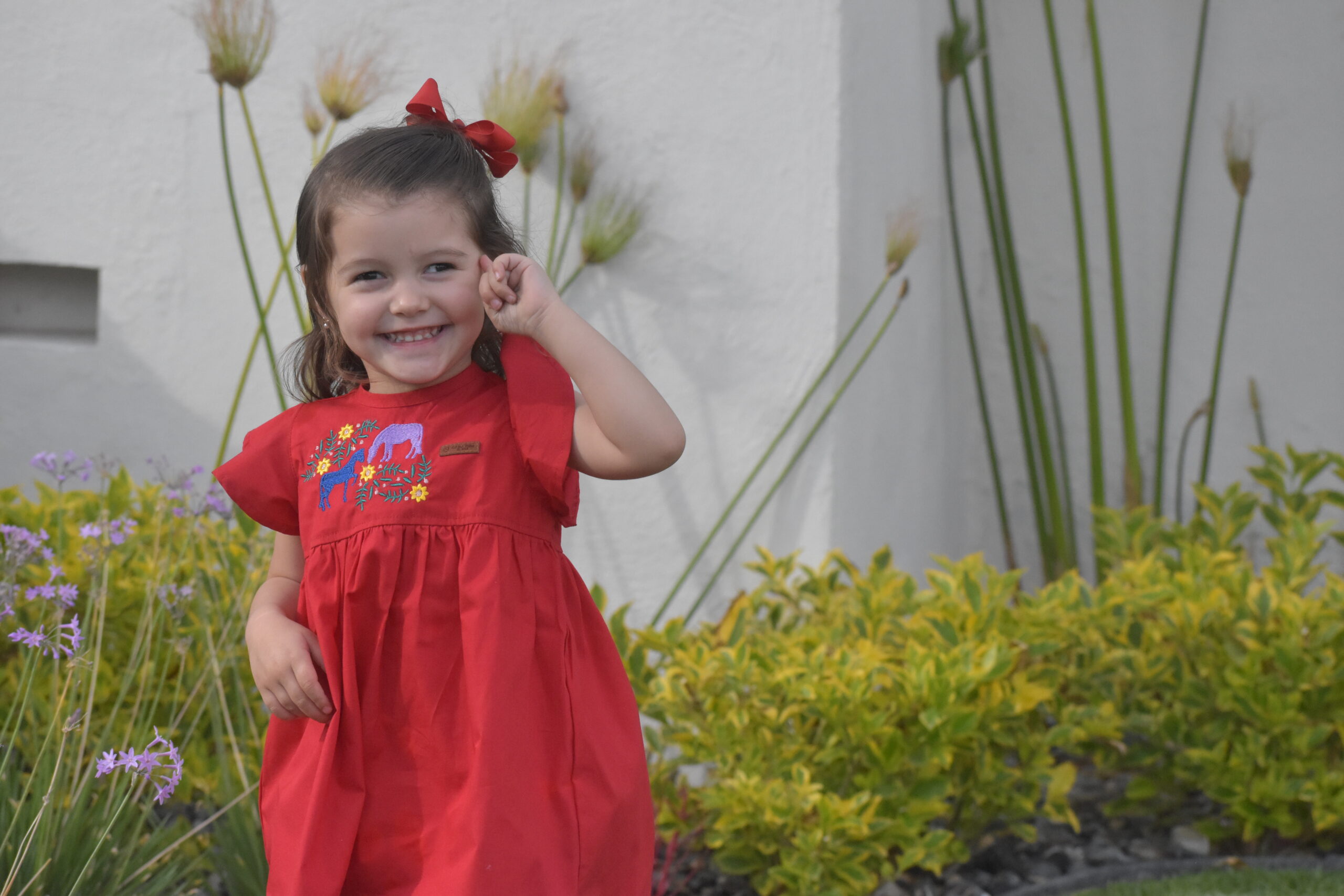 VESTIDO BORDADO ROJO