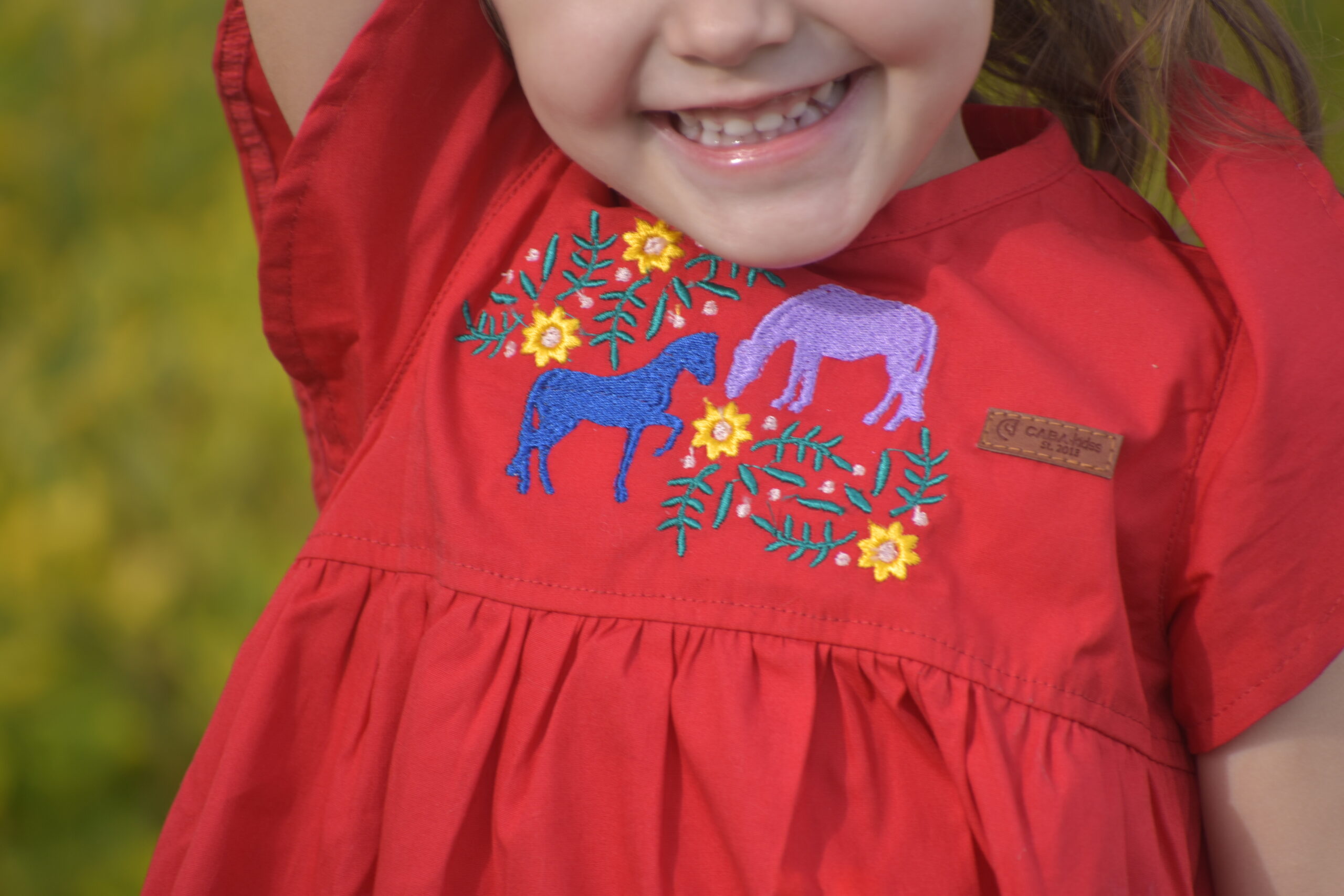 VESTIDO BORDADO ROJO